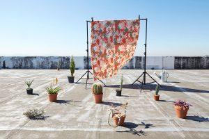 Nouvelle collection Skinny Laminx Roof Garden Nouvelle collection Skinny Laminx Roof Garden