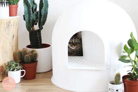 objet design pour animal