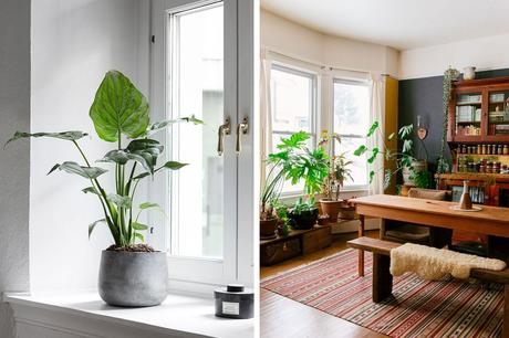 {Décoration} 7 façons d’intégrer des plantes dans votre intérieur