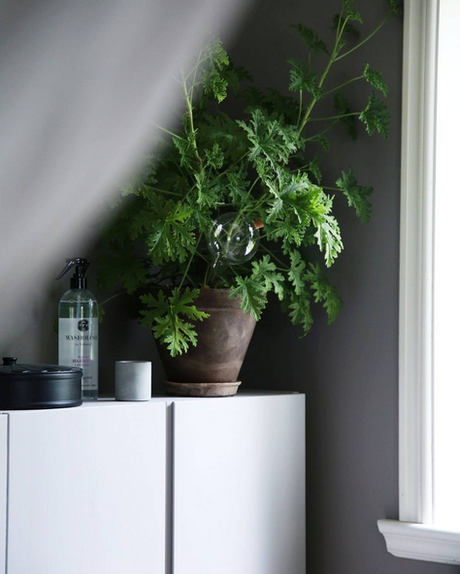 La maison suédoise dEmilie Slotte via Nat et nature Le quotidien d'une maison de famille via Instagram