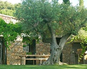 HELLO DECO DANS UN DIMANCHE TENDANCE !