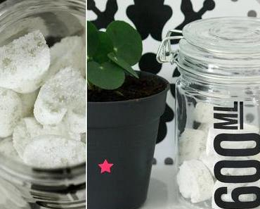 DIY : Pastilles lave-vaisselle