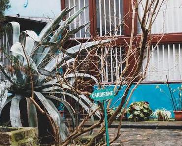 Une journée à Paris : la Cité des Figuiers