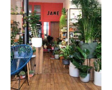 Jane, Jardinerie Urbaine et Récréative