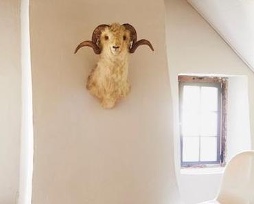 Visite déco : vivre dans une ancienne ferme rénovée