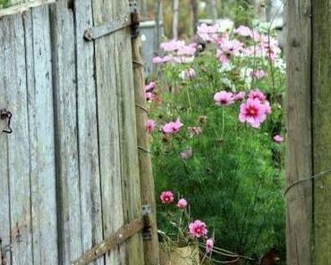 Un air de printemps avec la déco bucolique