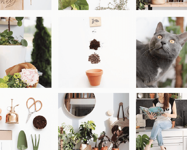 Inspirations : Les intérieurs green