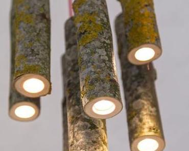 Que faire avec un morceau de tronc d’arbre ?