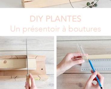 DIY 85 – Présentoir à boutures