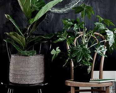 Petits budgets : nos astuces déco pas cher !