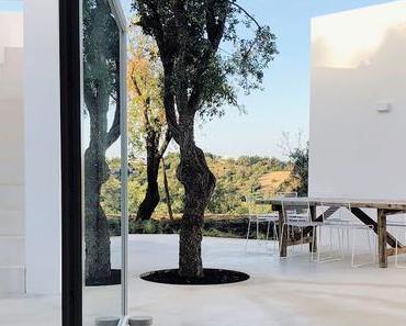 UNE MAISON POUR VACANCES DE RÊVE !