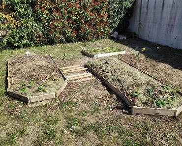 Mes premiers pas vers la permaculture