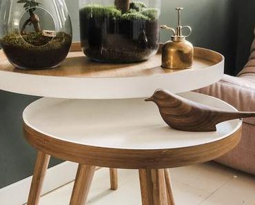 Les bienfaits d’un terrarium, le mini jardin intemporel !