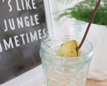 DIY – Accessoires de boutures recyclés