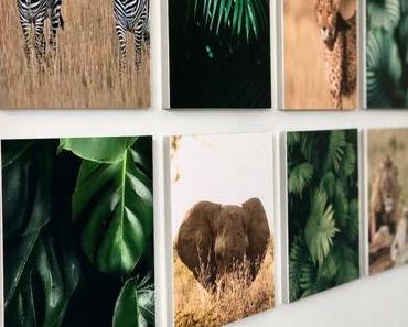 MixPix : le pêle-mêle photos de vos plus beaux souvenirs