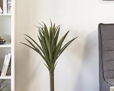 Bobochic : la marque tendance du moment