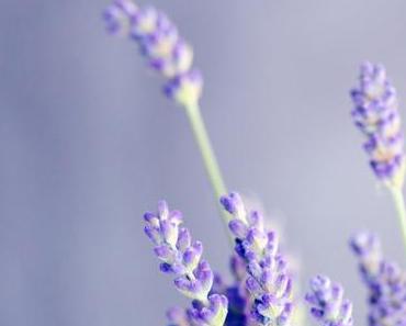wallpaper-1689754