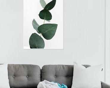 Où trouver une affiche végétale ?