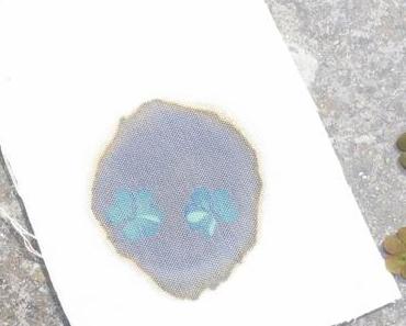 Cyanotype sur tissu DIY pour une déco végétale très personnelle