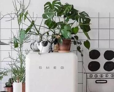 Astuces pour décorer sa cuisine avec des plantes