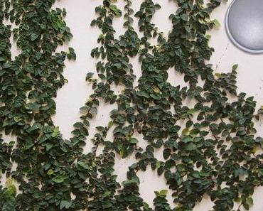 Quelle applique murale LED choisir pour éclairer mes extérieurs ?