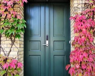 Comment choisir la meilleure fleur grimpante pour son jardin et son intérieur ?